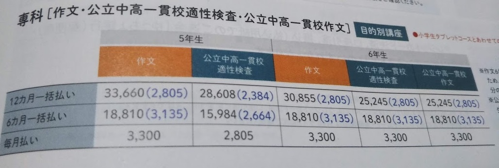 Z会小5 公立中高一貫校適性検査・作文・夏休みスタディプラス 2024年