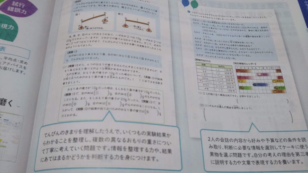 【美品】Z会 エブリスタディ3年 思考・表現力 2021/4〜2022/3 backend=imagemagick;version=1;