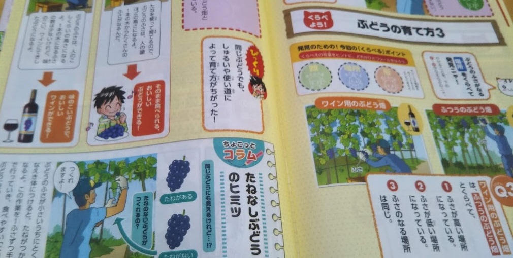 f:id:shimausj:20210622142432j:plain