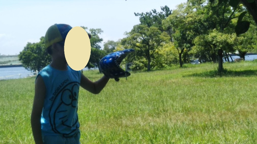 f:id:shimausj:20210731044614j:plain