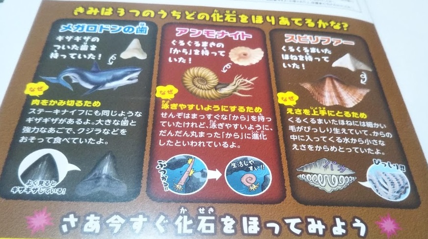 f:id:shimausj:20210922111554j:plain