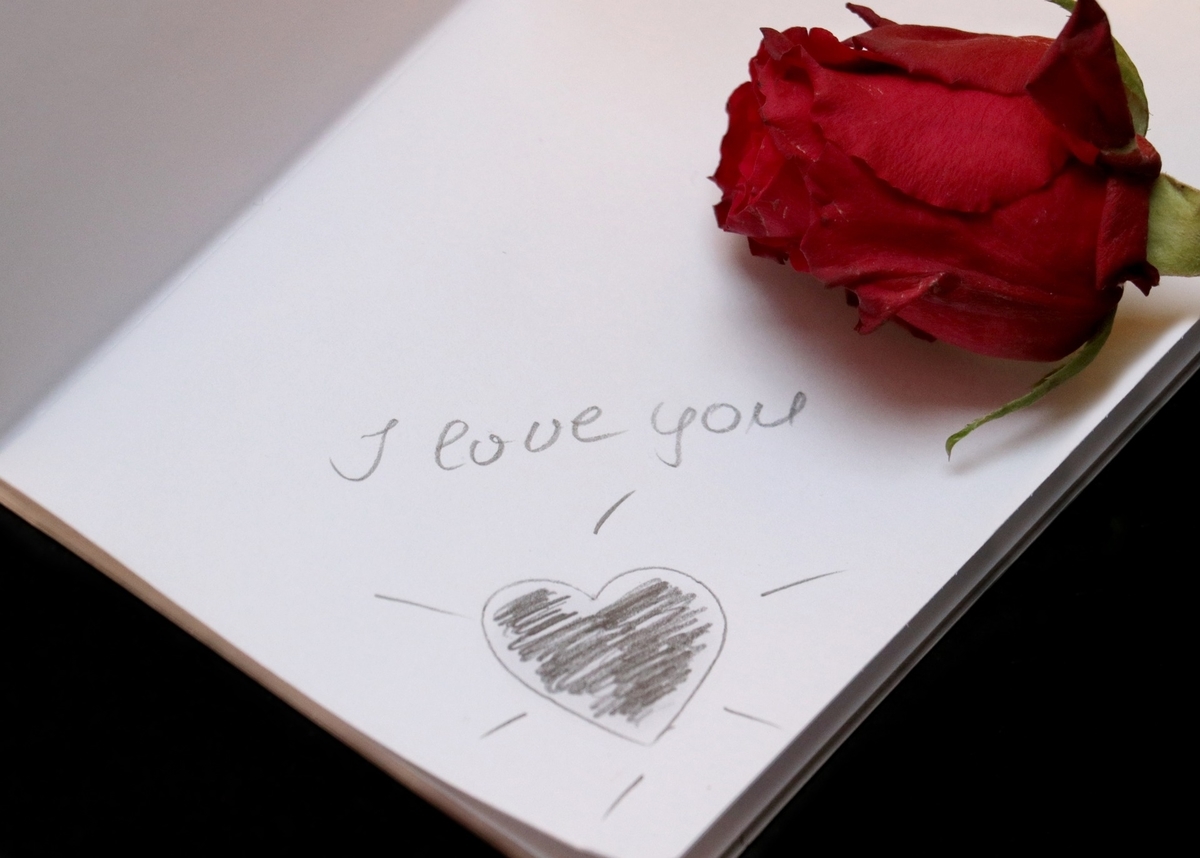 f:id:shimbashikotoko:20200822153832j:plain f:id:shimbashikotoko:20200822153832j:plain