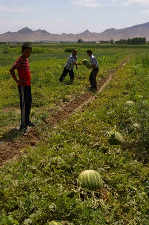 f:id:shimeji49:20080713175820j:image