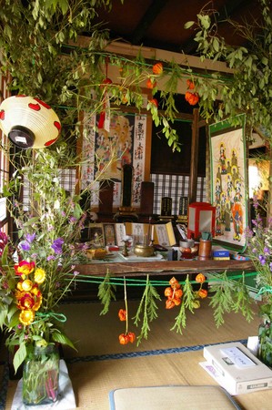 f:id:shimeji49:20080813162531j:image