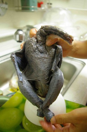 黒い鶏肉の Korea キャベツ畑でこんにちは