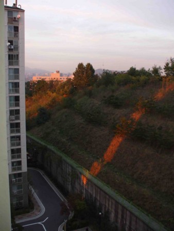 f:id:shimeji49:20081013171841j:image