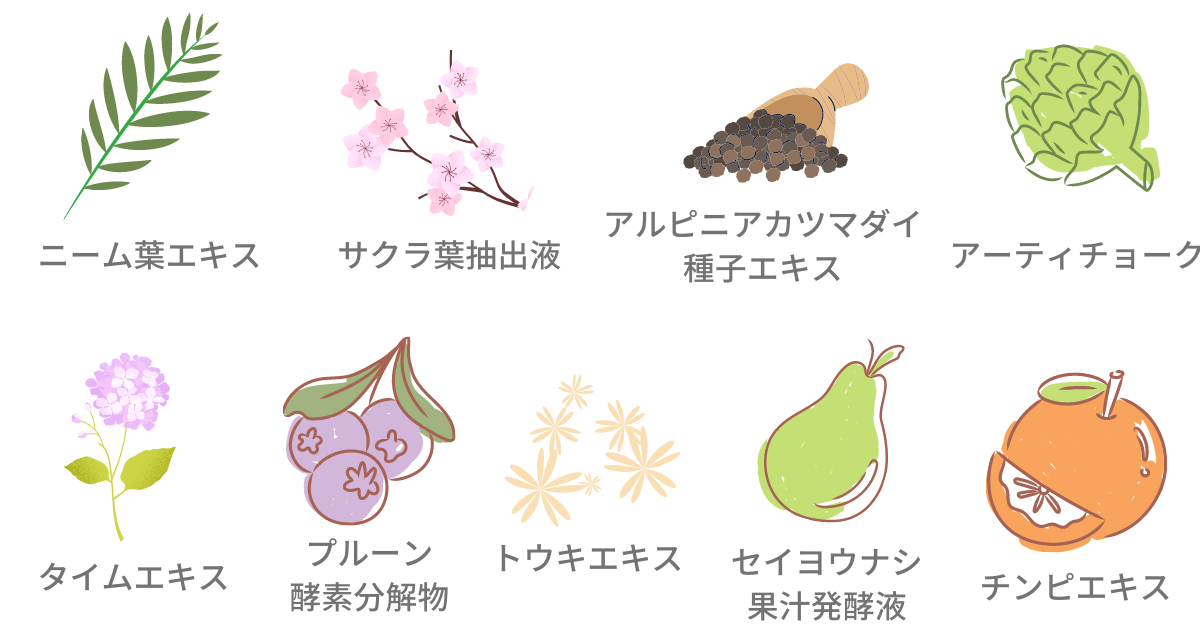 f:id:shimeji77:20211228072628p:plain