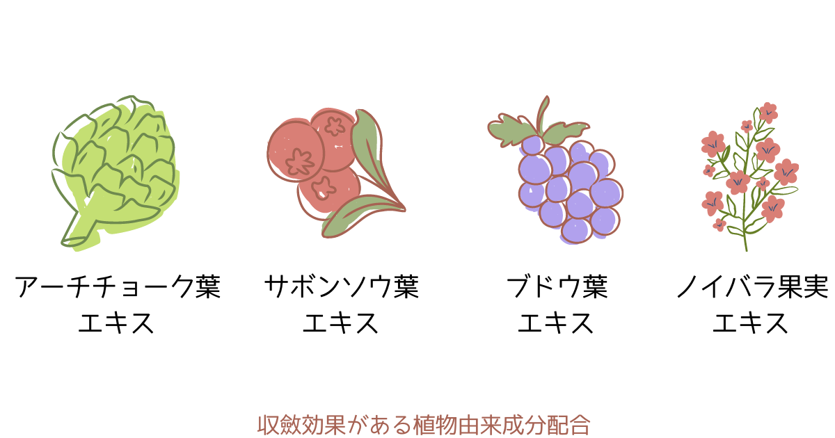 f:id:shimeji77:20220121101956p:plain