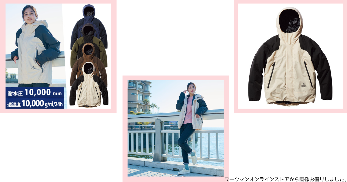f:id:shimeji77:20220121122905p:plain