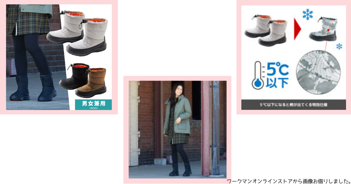 f:id:shimeji77:20220121123706p:plain