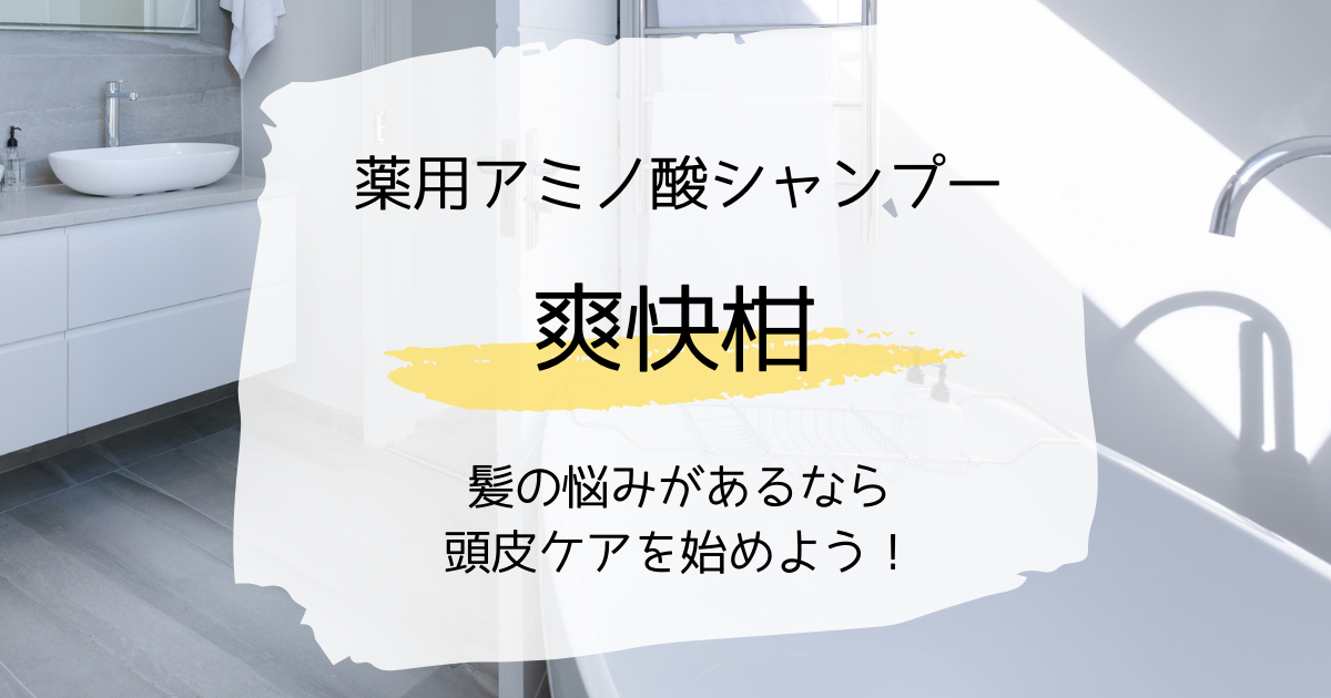 f:id:shimeji77:20220202134902p:plain
