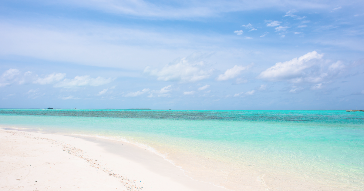 f:id:shimeji77:20220210104909p:plain