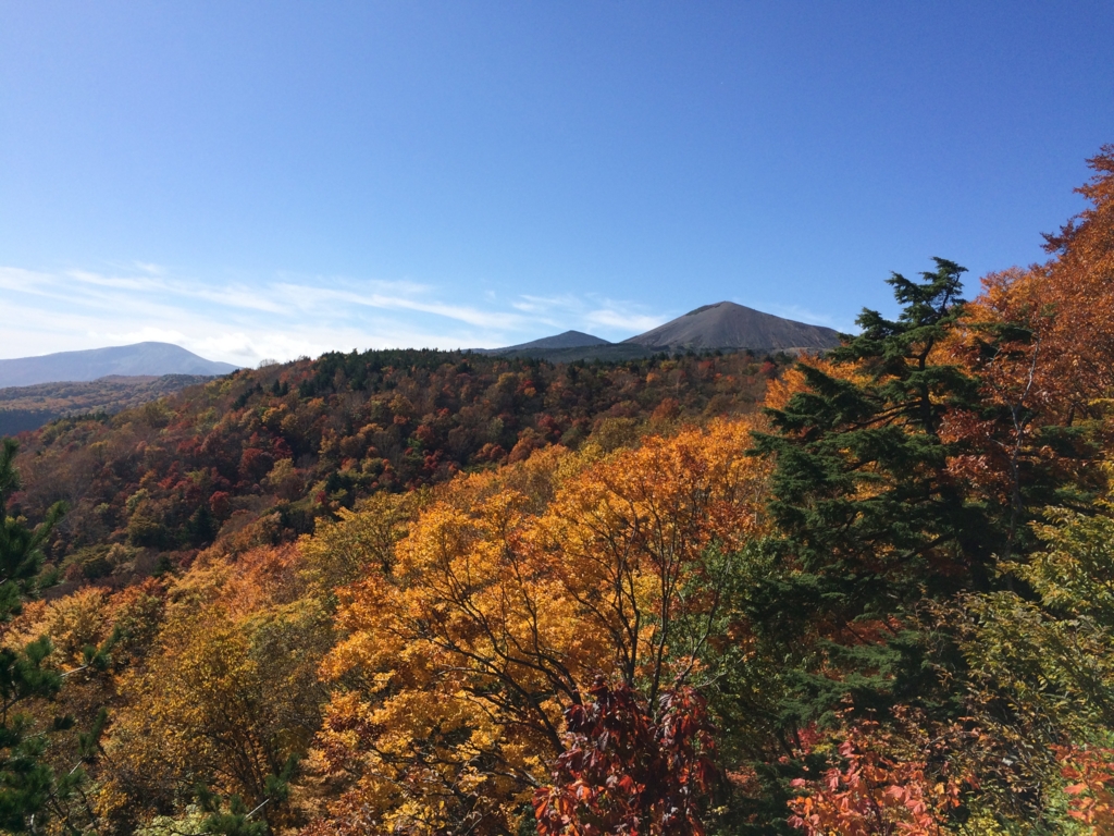 f:id:shimesaba4031:20161024233438j:plain