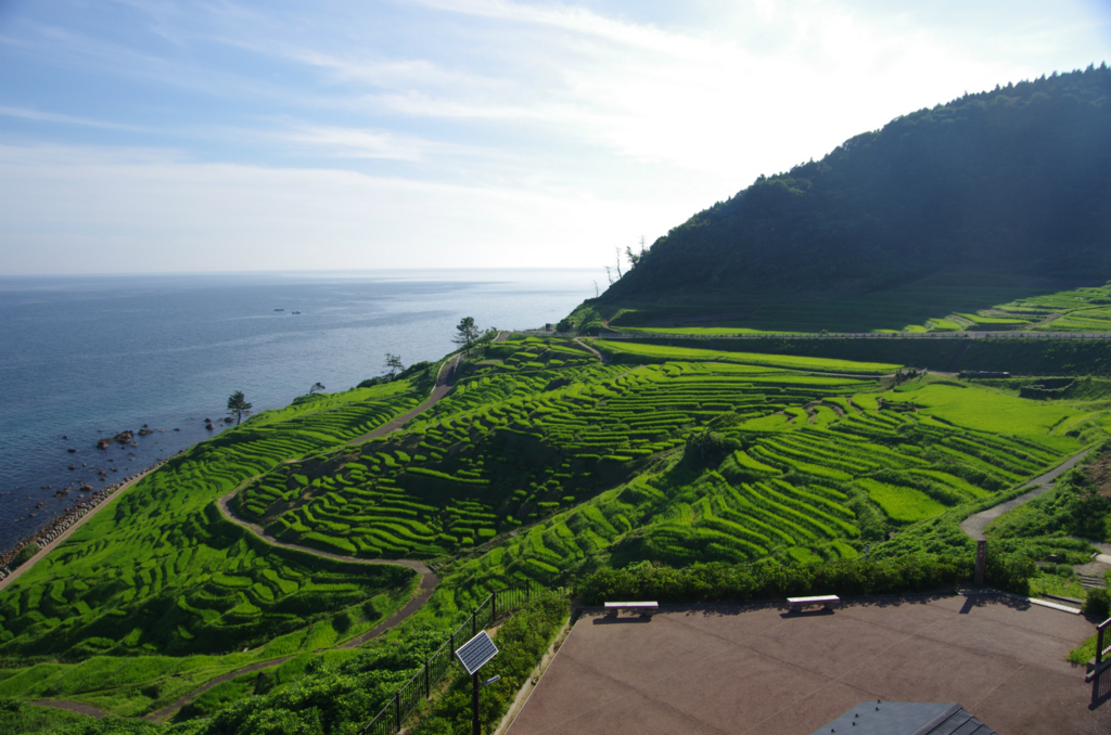 f:id:shimesaba4031:20180820221422j:plain