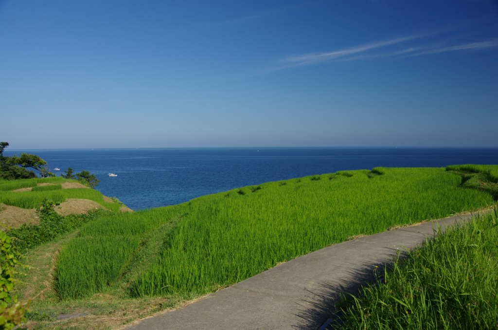 f:id:shimesaba4031:20180820221449j:plain