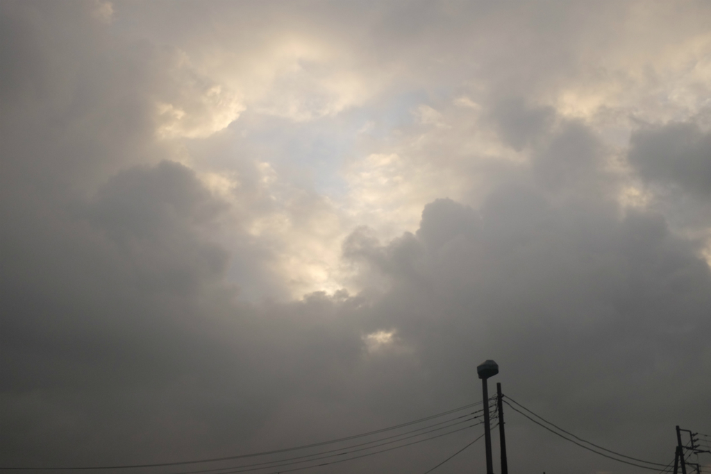 f:id:shimesaba4031:20181118230440j:plain