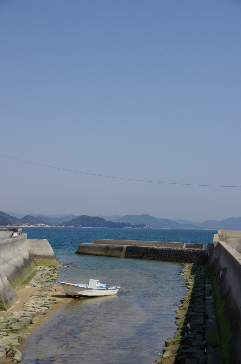 f:id:shimesaba4031:20190323235502j:plain