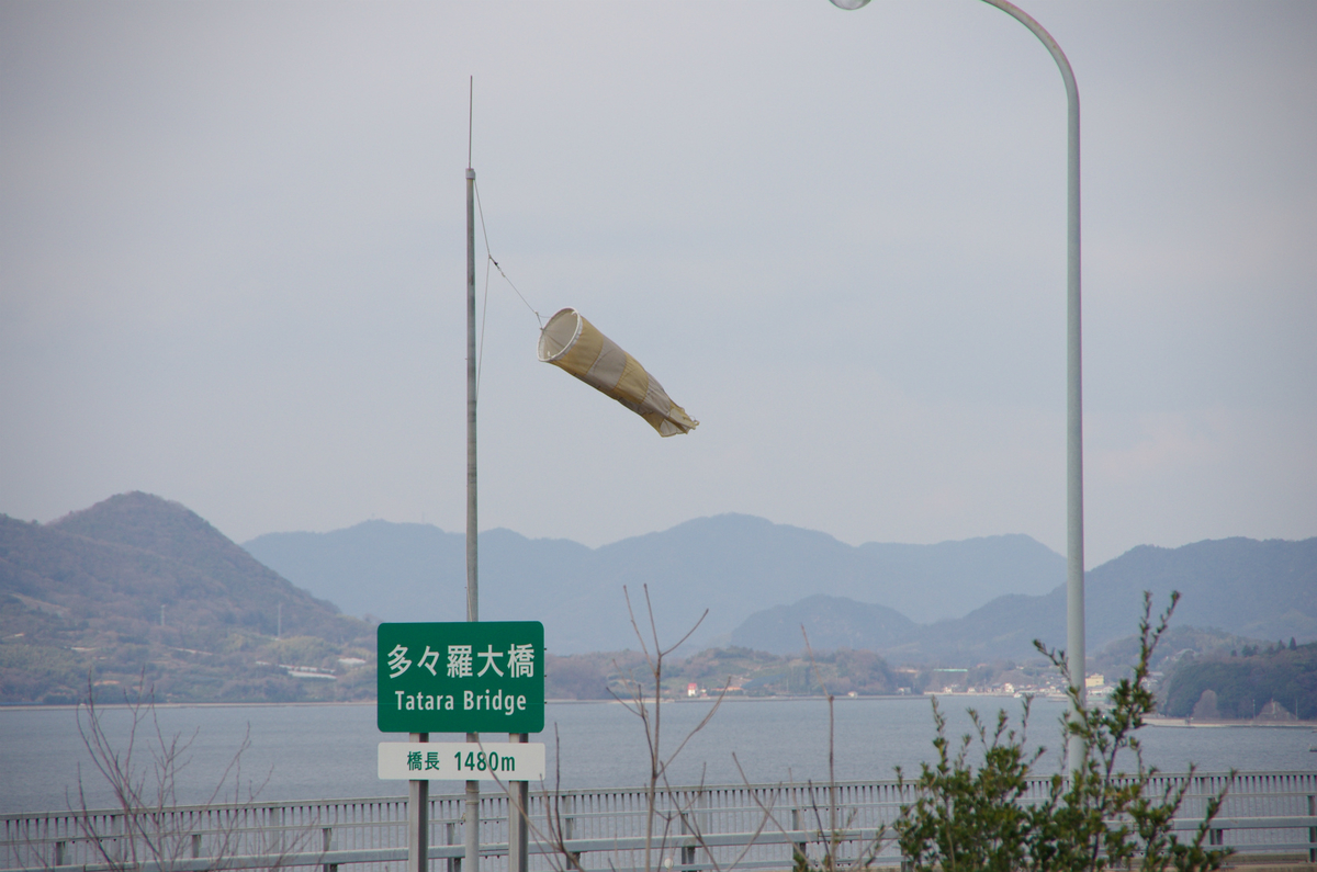 f:id:shimesaba4031:20190326193055j:plain