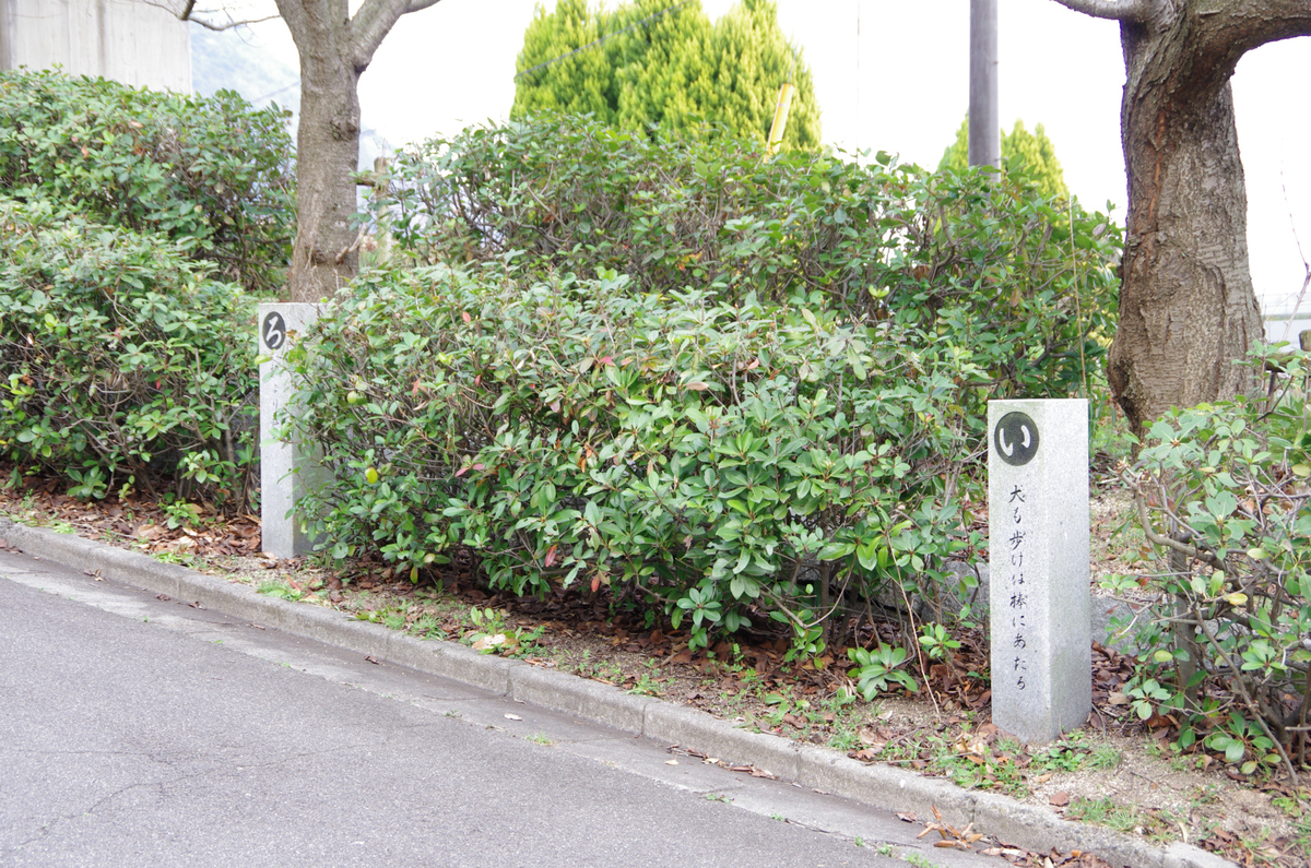 f:id:shimesaba4031:20190326193521j:plain