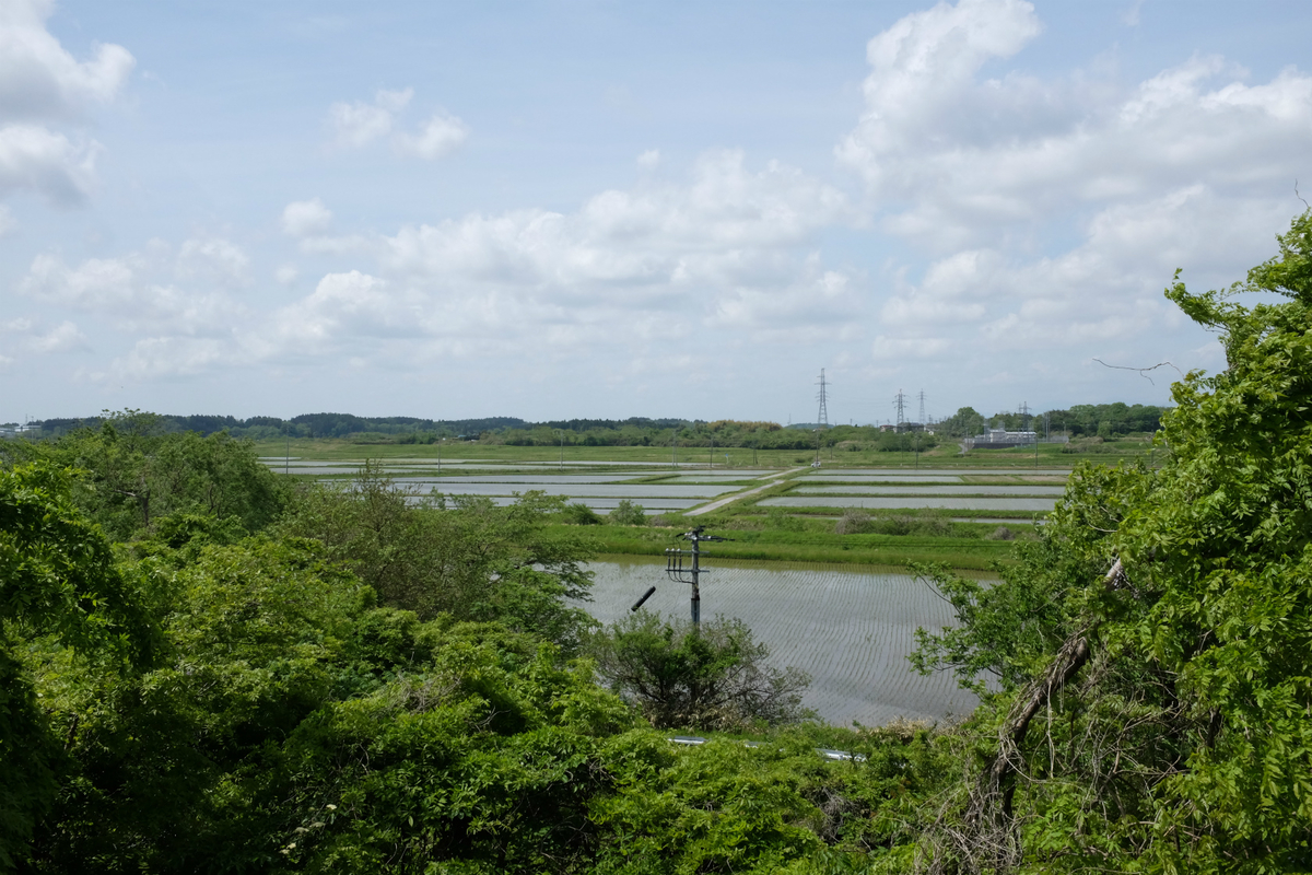 f:id:shimesaba4031:20190725223228j:plain f:id:shimesaba4031:20190725223228j:plain