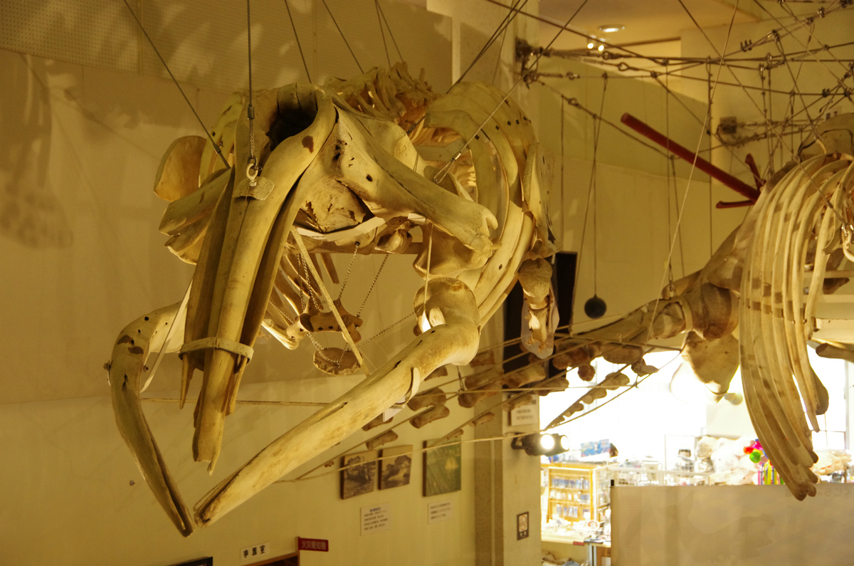 f:id:shimesaba4031:20200103231648j:plain f:id:shimesaba4031:20200103231648j:plain