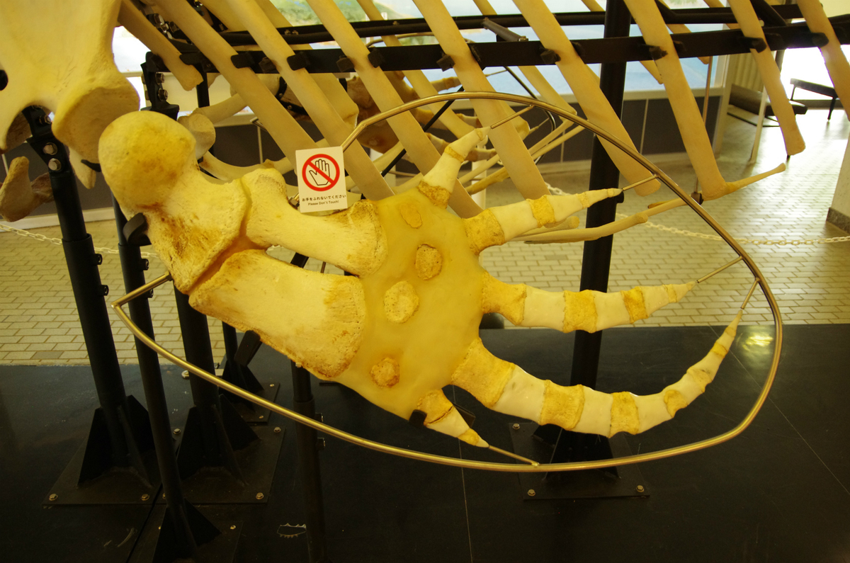 f:id:shimesaba4031:20200113002917j:plain f:id:shimesaba4031:20200113002917j:plain