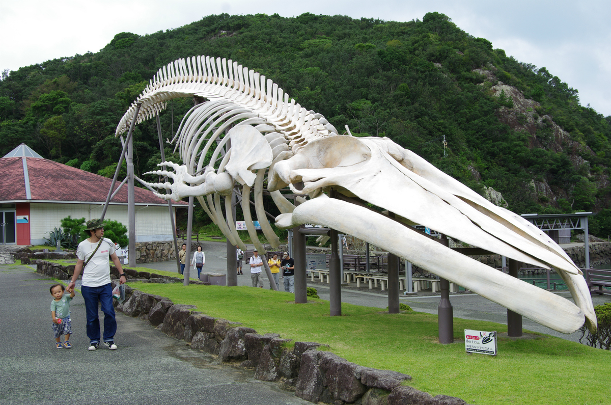 f:id:shimesaba4031:20200113005207j:plain f:id:shimesaba4031:20200113005207j:plain