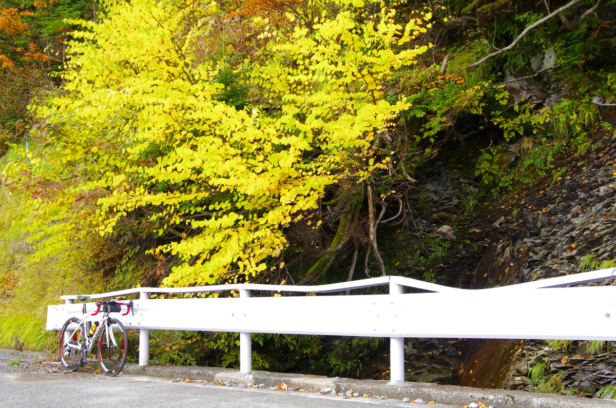f:id:shimesaba4031:20201010234912j:plain