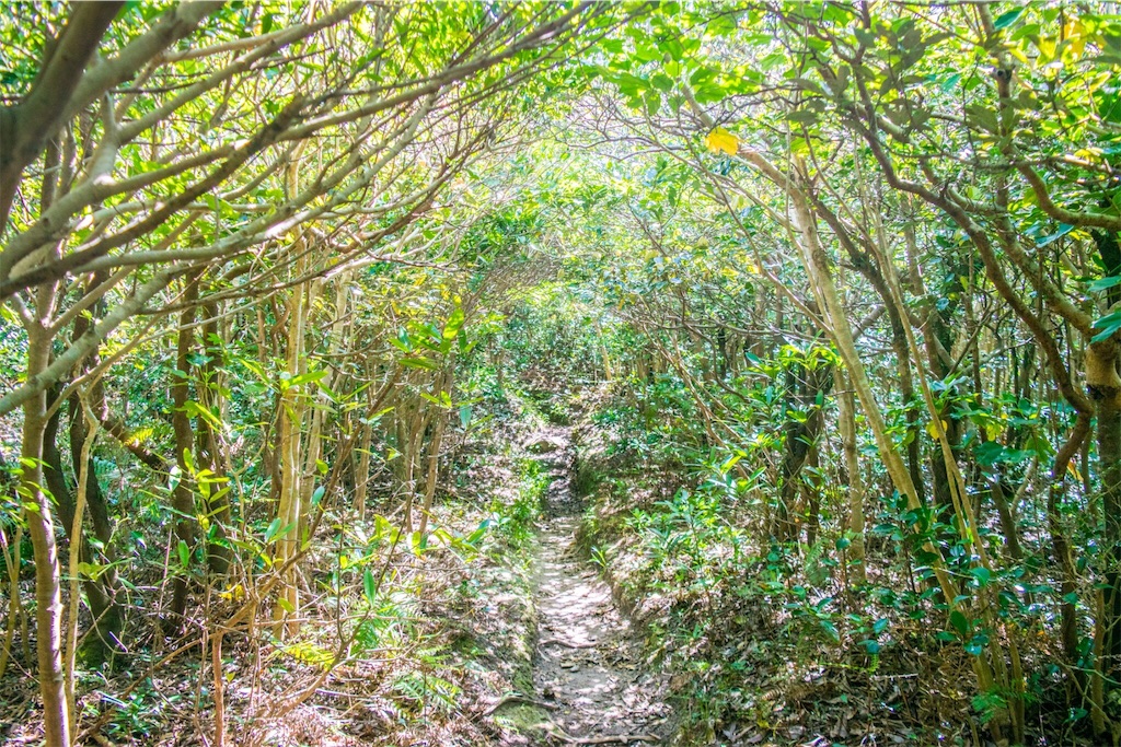 f:id:shimisena:20180511110124j:image