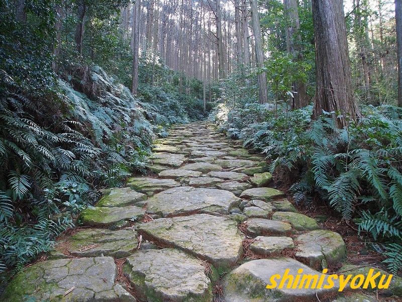 f:id:shimisyoku:20200223094418j:plain
