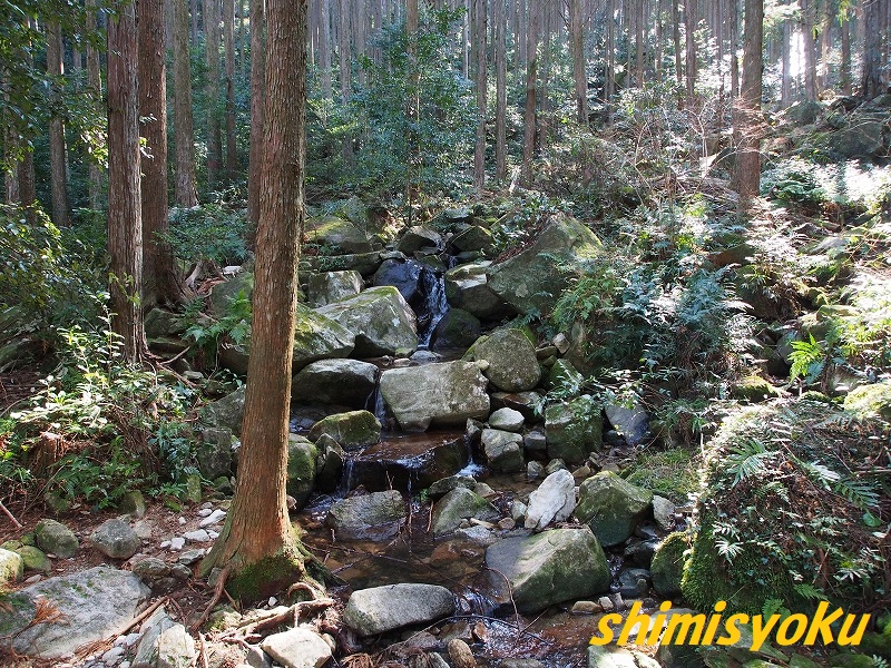 f:id:shimisyoku:20200223094528j:plain