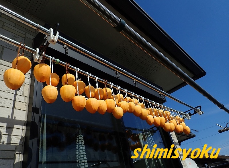 f:id:shimisyoku:20211024133520j:plain