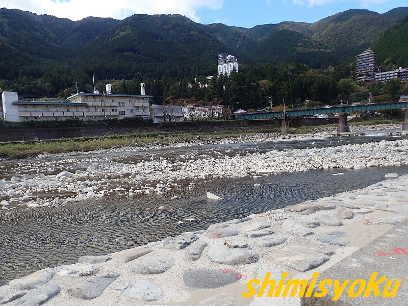 f:id:shimisyoku:20211027104951j:plain