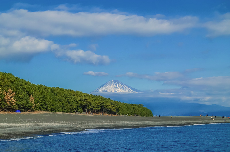f:id:shimizu-minato:20180605145522j:plain