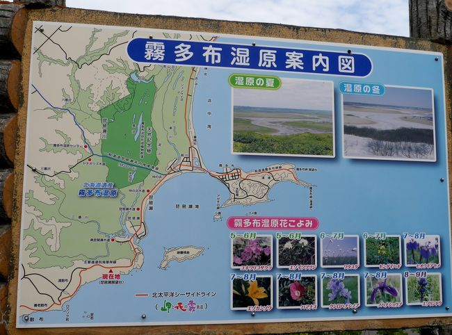 f:id:shimizu-satoyama:20190213102248j:plain