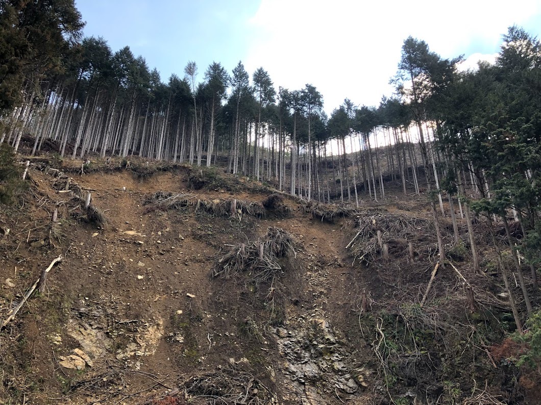 f:id:shimizu-satoyama:20190620084306j:plain f:id:shimizu-satoyama:20190620084306j:plain