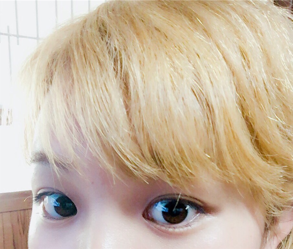 f:id:shimizu-yuho:20161020171909j:image