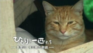 f:id:shimizu4310:20090410153405j:image