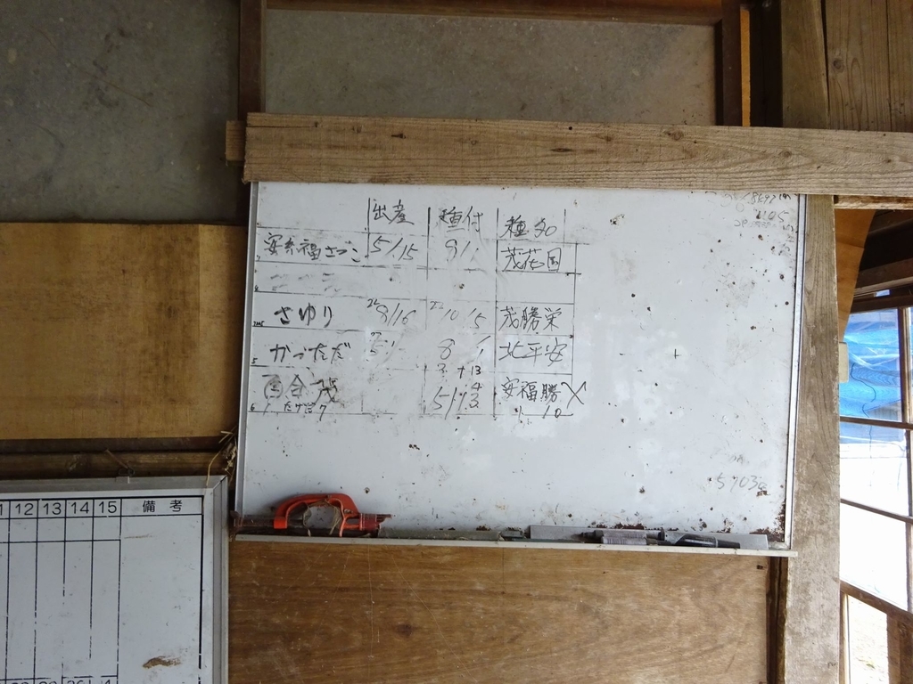 f:id:shimizufarm:20180903231242j:plain f:id:shimizufarm:20180903231242j:plain