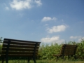 20100828085744