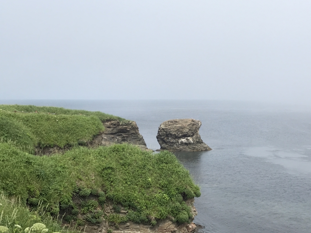 f:id:shimo106:20180610173408j:plain f:id:shimo106:20180610173408j:plain