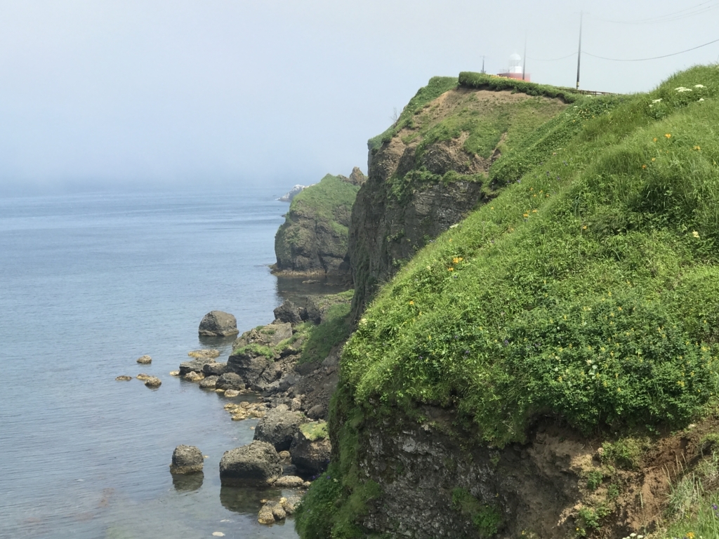 f:id:shimo106:20180610174534j:plain f:id:shimo106:20180610174534j:plain