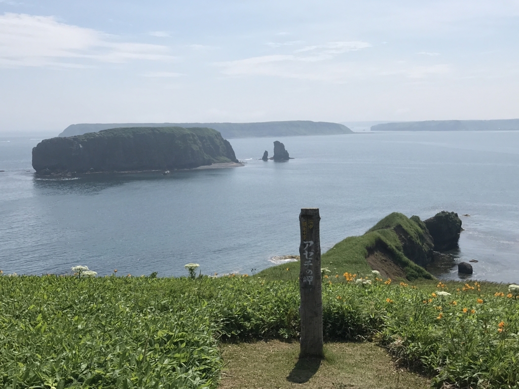 f:id:shimo106:20180610174931j:plain f:id:shimo106:20180610174931j:plain