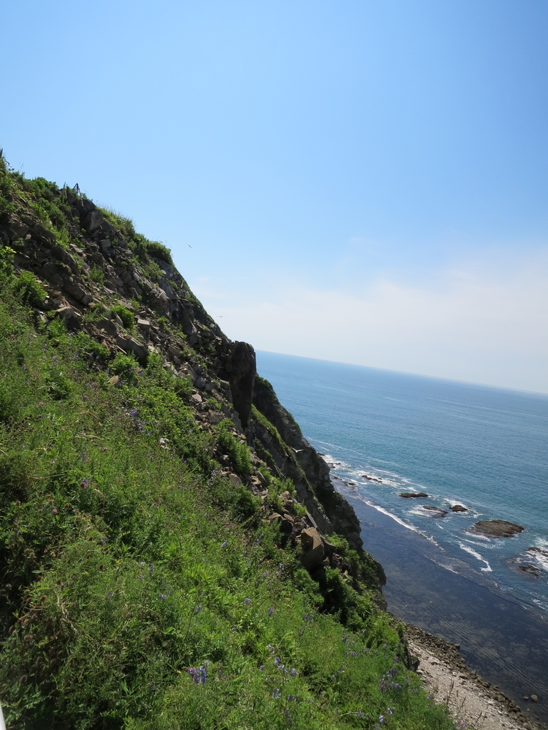 f:id:shimo106:20181006163058j:plain f:id:shimo106:20181006163058j:plain