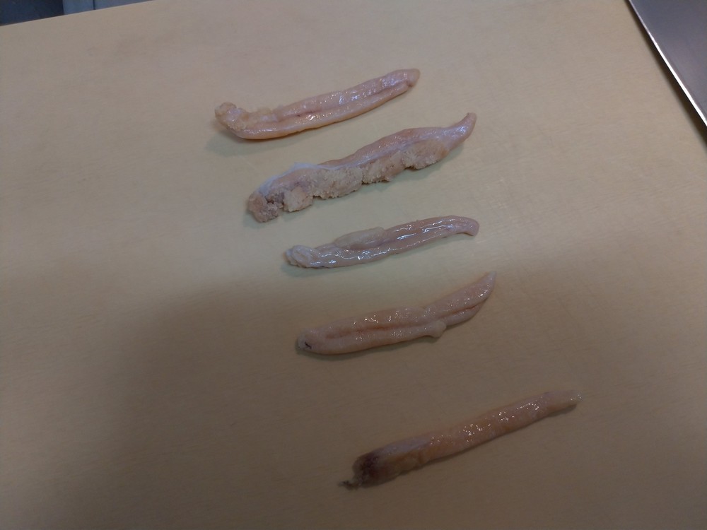 f:id:shimobayashi:20211125192419j:plain