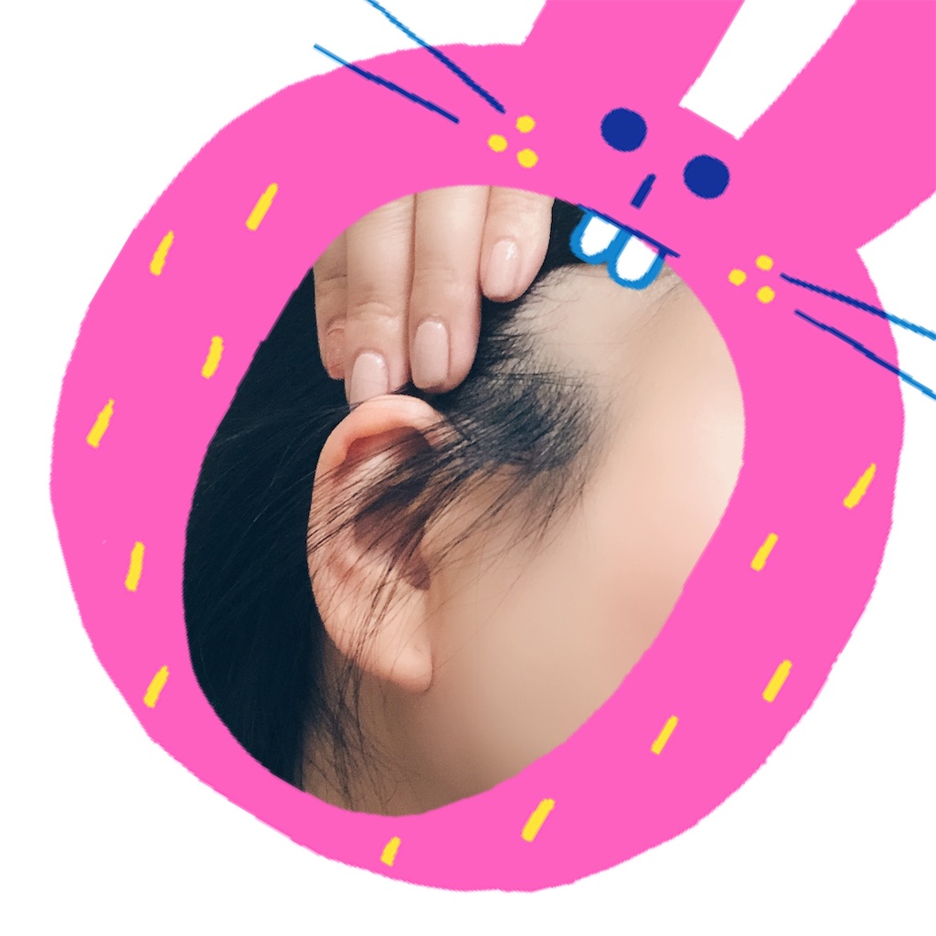 f:id:shimobukure-aha:20190215231920j:image f:id:shimobukure-aha:20190215231920j:image