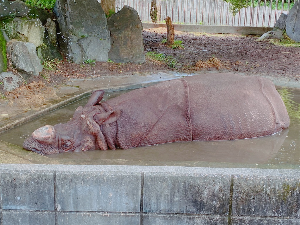 f:id:shimodoro:20240716215554j:image f:id:shimodoro:20240716215554j:image