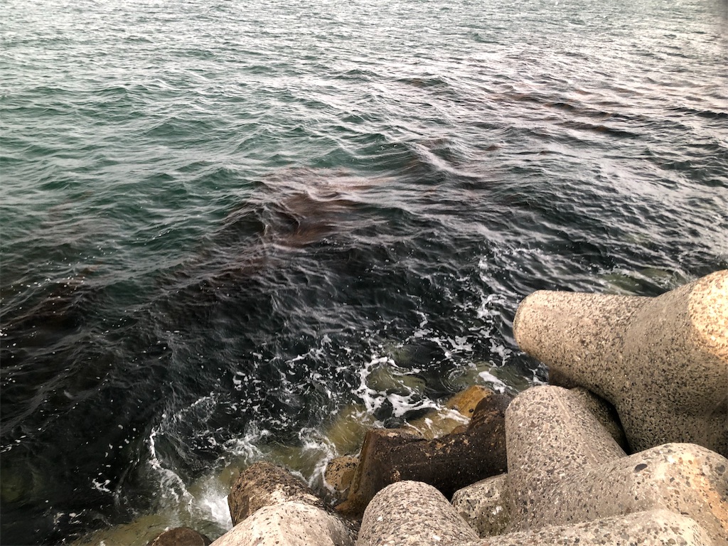 f:id:shimokenpi:20190611211937j:image