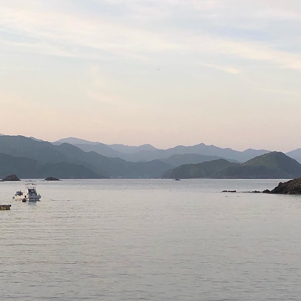 f:id:shimokenpi:20190611212618j:image