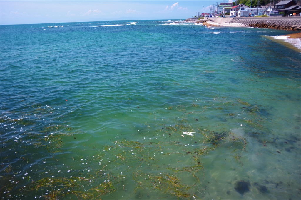 f:id:shimokenpi:20190810155634j:image